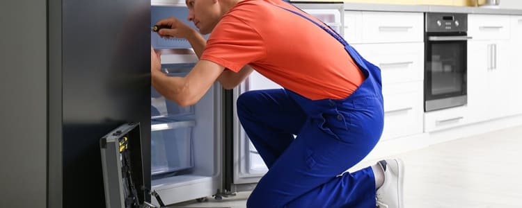 Under Counter Fridge Cleaning Services in Vadapalanji